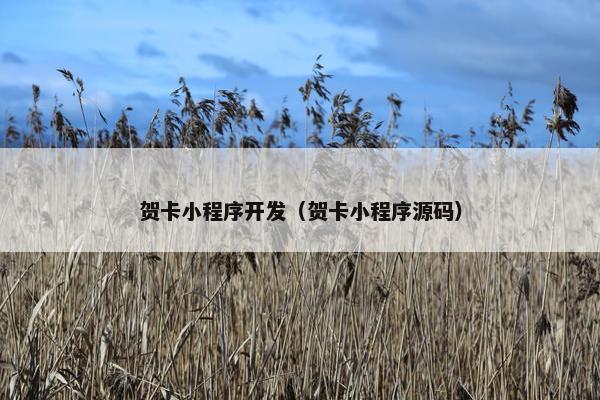 贺卡小程序开发（贺卡小程序源码）