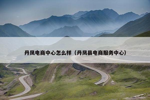 丹凤电商中心怎么样（丹凤县电商服务中心）