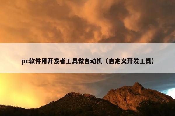 pc软件用开发者工具做自动机（自定义开发工具）