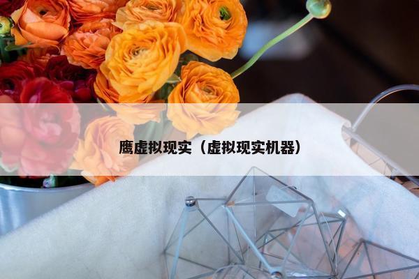 鹰虚拟现实（虚拟现实机器）