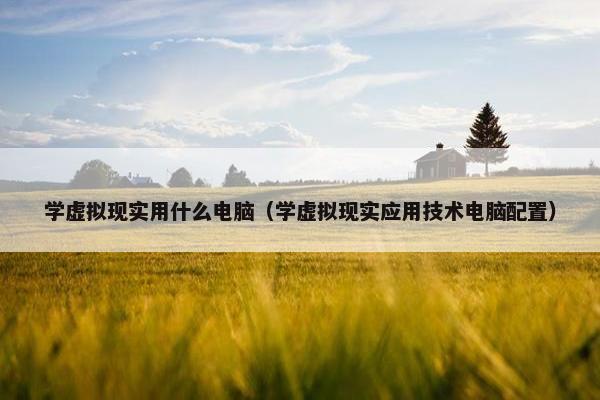 学虚拟现实用什么电脑（学虚拟现实应用技术电脑配置）