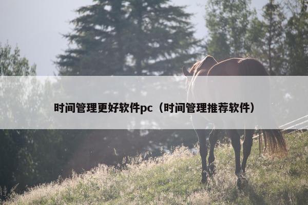 时间管理更好软件pc（时间管理推荐软件）