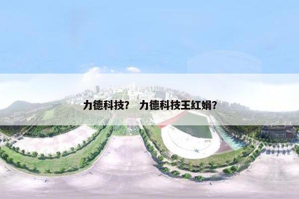 力德科技？ 力德科技王红娟？