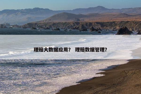 理赔大数据应用？ 理赔数据管理？