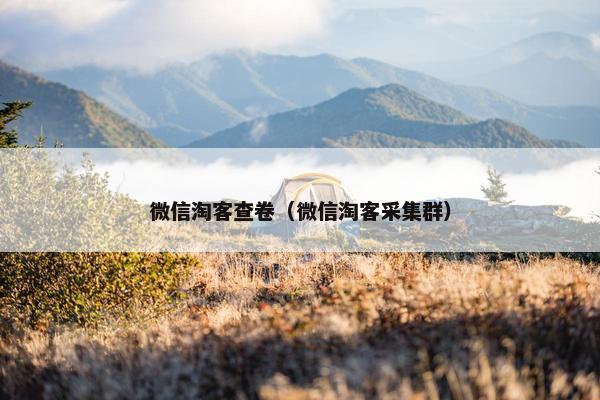 微信淘客查卷（微信淘客采集群）
