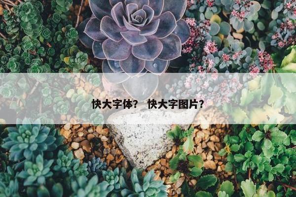 快大字体？ 快大字图片？