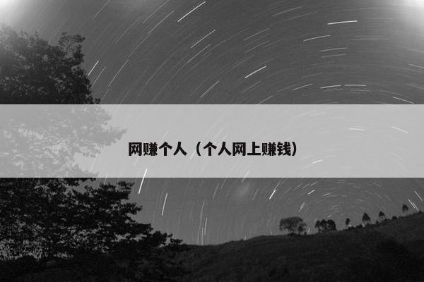 网赚个人（个人网上赚钱）