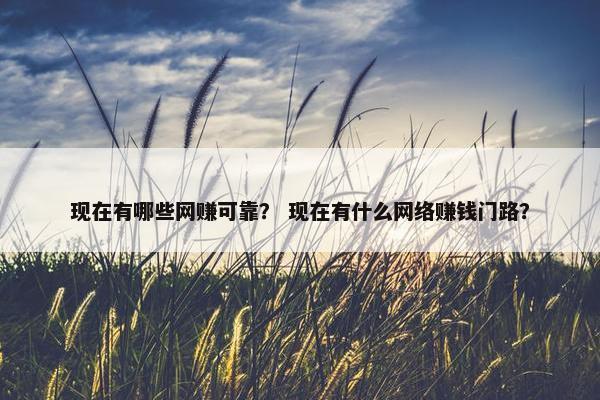现在有哪些网赚可靠？ 现在有什么网络赚钱门路？