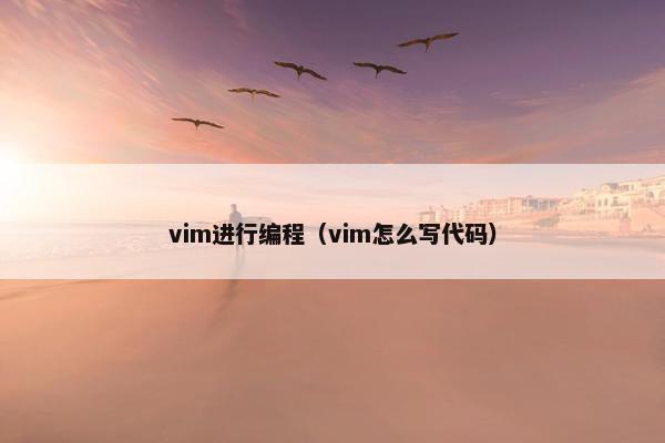 vim进行编程（vim怎么写代码）