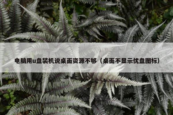 电脑用u盘装机说桌面资源不够（桌面不显示优盘图标）