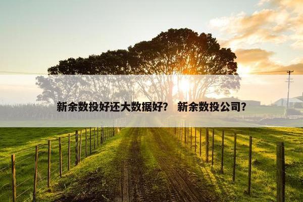 新余数投好还大数据好？ 新余数投公司？
