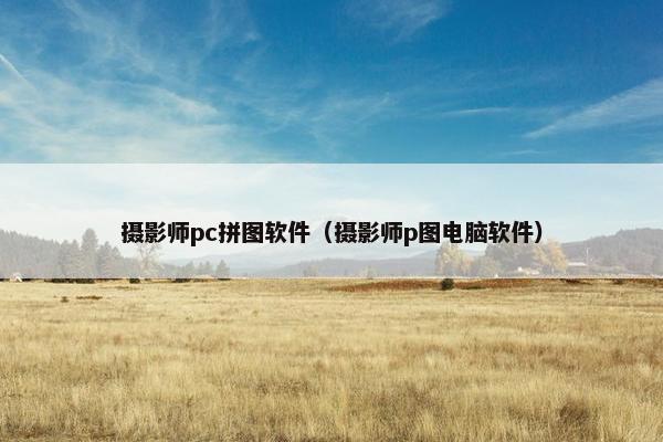 摄影师pc拼图软件（摄影师p图电脑软件）