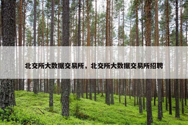 北交所大数据交易所，北交所大数据交易所招聘