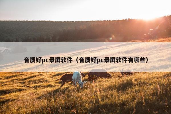 音质好pc录屏软件（音质好pc录屏软件有哪些）