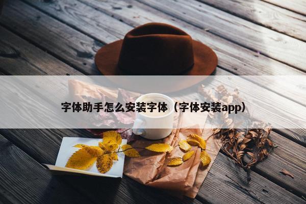 字体助手怎么安装字体（字体安装app）
