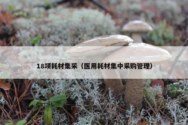 18项耗材集采（医用耗材集中采购管理）