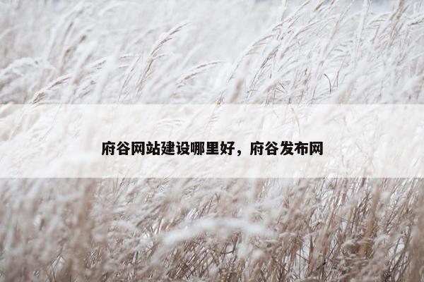 府谷网站建设哪里好，府谷发布网