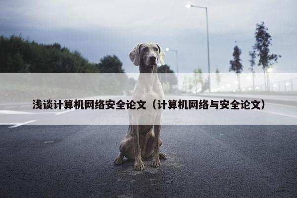 浅谈计算机网络安全论文（计算机网络与安全论文）
