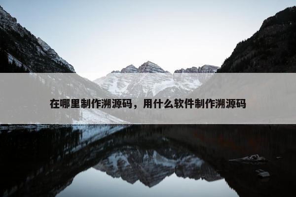在哪里制作溯源码，用什么软件制作溯源码