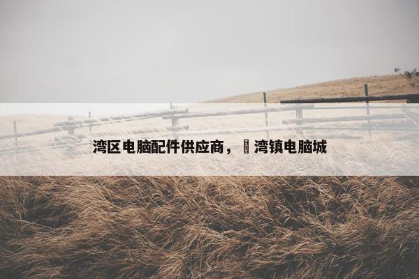 湾区电脑配件供应商，溁湾镇电脑城