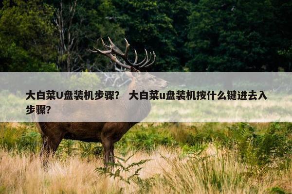 大白菜U盘装机步骤？ 大白菜u盘装机按什么键进去入步骤？