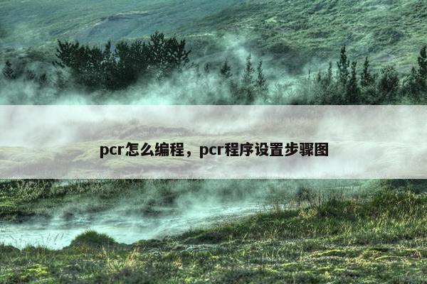 pcr怎么编程，pcr程序设置步骤图