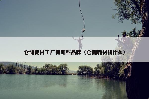 仓储耗材工厂有哪些品牌（仓储耗材指什么）