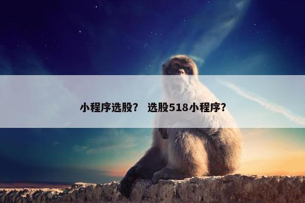 小程序选股？ 选股518小程序？