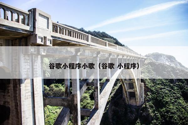 谷歌小程序小歌（谷歌 小程序）
