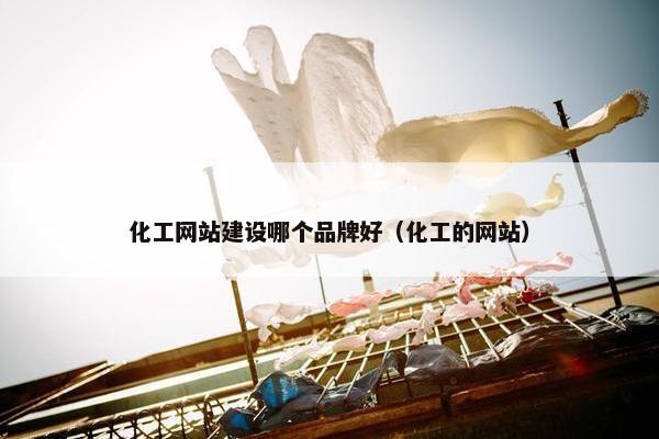 化工网站建设哪个品牌好（化工的网站）