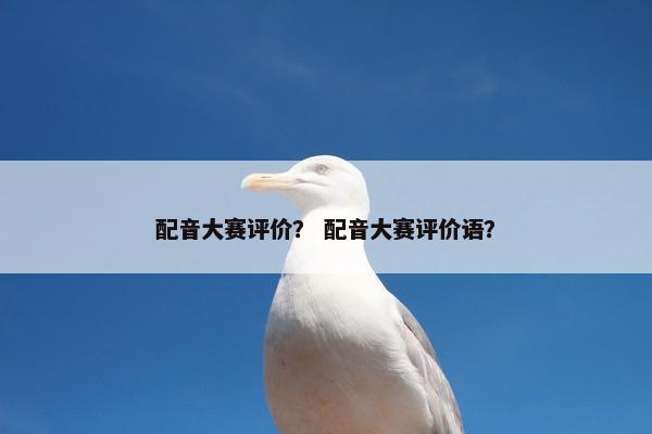 配音大赛评价？ 配音大赛评价语？