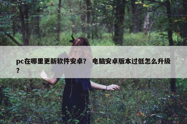 pc在哪里更新软件安卓？ 电脑安卓版本过低怎么升级？