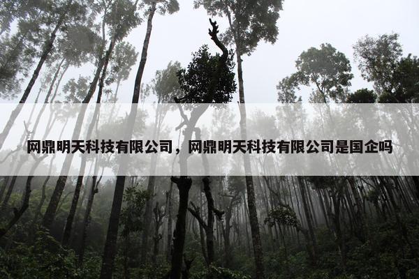 网鼎明天科技有限公司，网鼎明天科技有限公司是国企吗