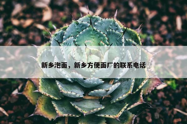 新乡泡面，新乡方便面厂的联系电话