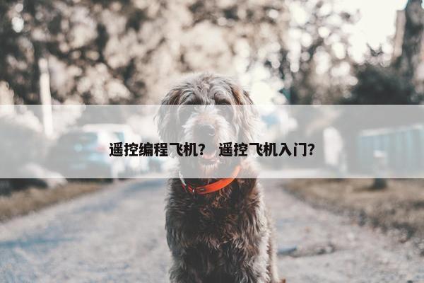 遥控编程飞机？ 遥控飞机入门？