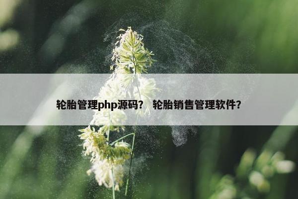 轮胎管理php源码？ 轮胎销售管理软件？