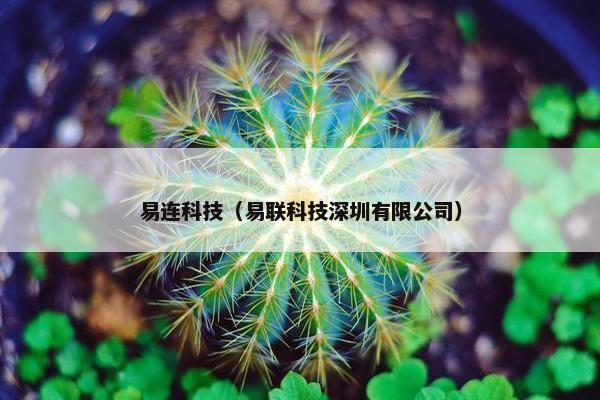 易连科技（易联科技深圳有限公司）