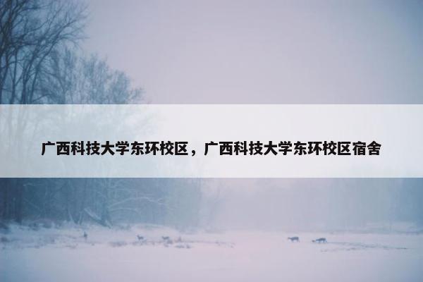 广西科技大学东环校区，广西科技大学东环校区宿舍