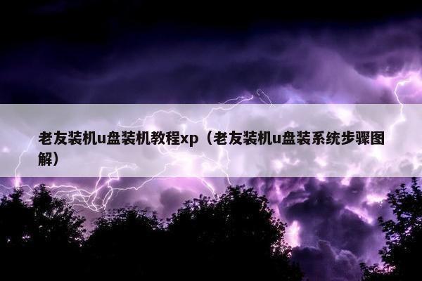 老友装机u盘装机教程xp（老友装机u盘装系统步骤图解）