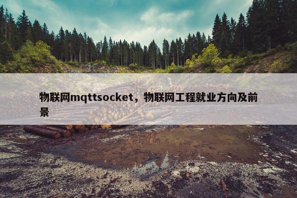 物联网mqttsocket，物联网工程就业方向及前景