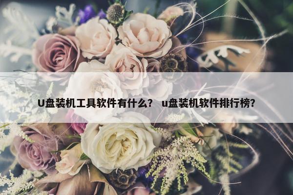 U盘装机工具软件有什么？ u盘装机软件排行榜？