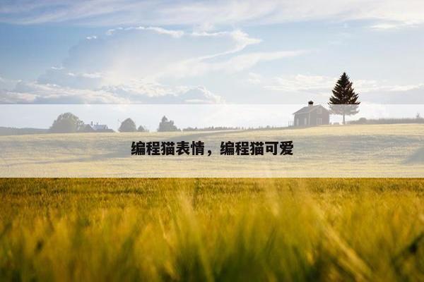 编程猫表情，编程猫可爱