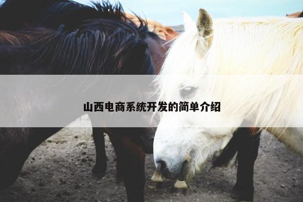 山西电商系统开发的简单介绍