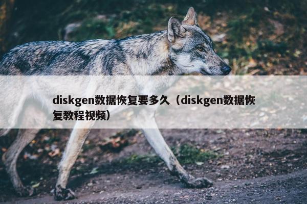 diskgen数据恢复要多久（diskgen数据恢复教程视频）
