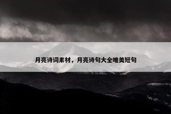 月亮诗词素材，月亮诗句大全唯美短句
