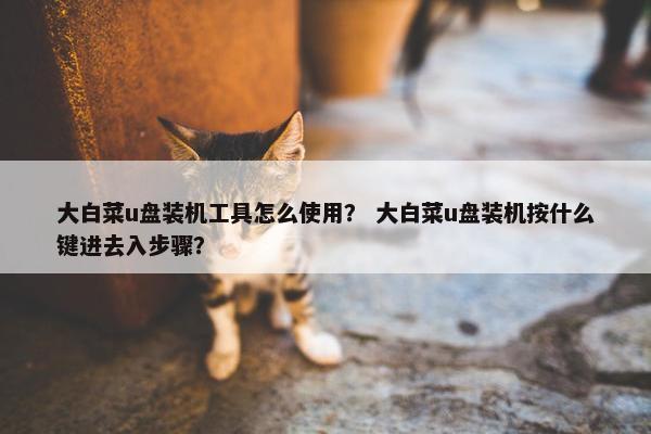 大白菜u盘装机工具怎么使用？ 大白菜u盘装机按什么键进去入步骤？