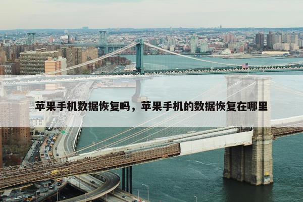 苹果手机数据恢复吗，苹果手机的数据恢复在哪里