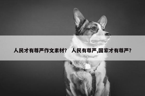 人民才有尊严作文素材？ 人民有尊严,国家才有尊严？