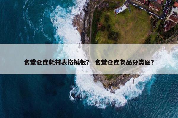 食堂仓库耗材表格模板？ 食堂仓库物品分类图？