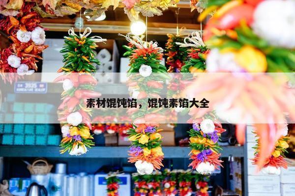 素材馄饨馅，馄饨素馅大全